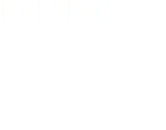 EXHIBITS: In many ways, exhibits are the ultimate fusion of art, science, and human experience, a walk-in canvas for thought and discovery. Whether creating single elements for your larger plan, or providing a plan itself, I can assist with all levels of design, from initial storyboarding and layout, to casework design, to mural graphics, text, and art direction for interactives. 